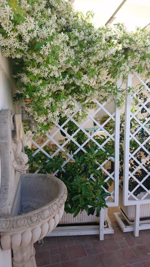 Stella Dei Campi Guest House Sternatia Ngoại thất bức ảnh